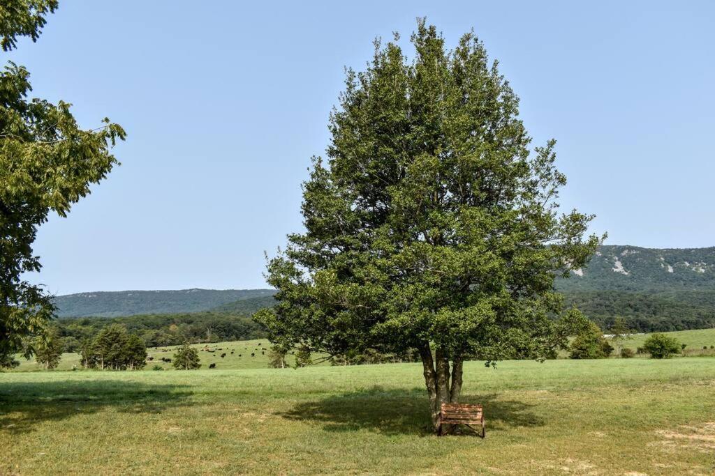 Holly Tree Retreat Located In Beautiful Luray, Va. Villa Exterior photo